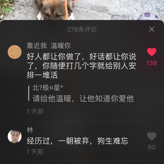请给它温暖，让它知道你爱它。.jpeg