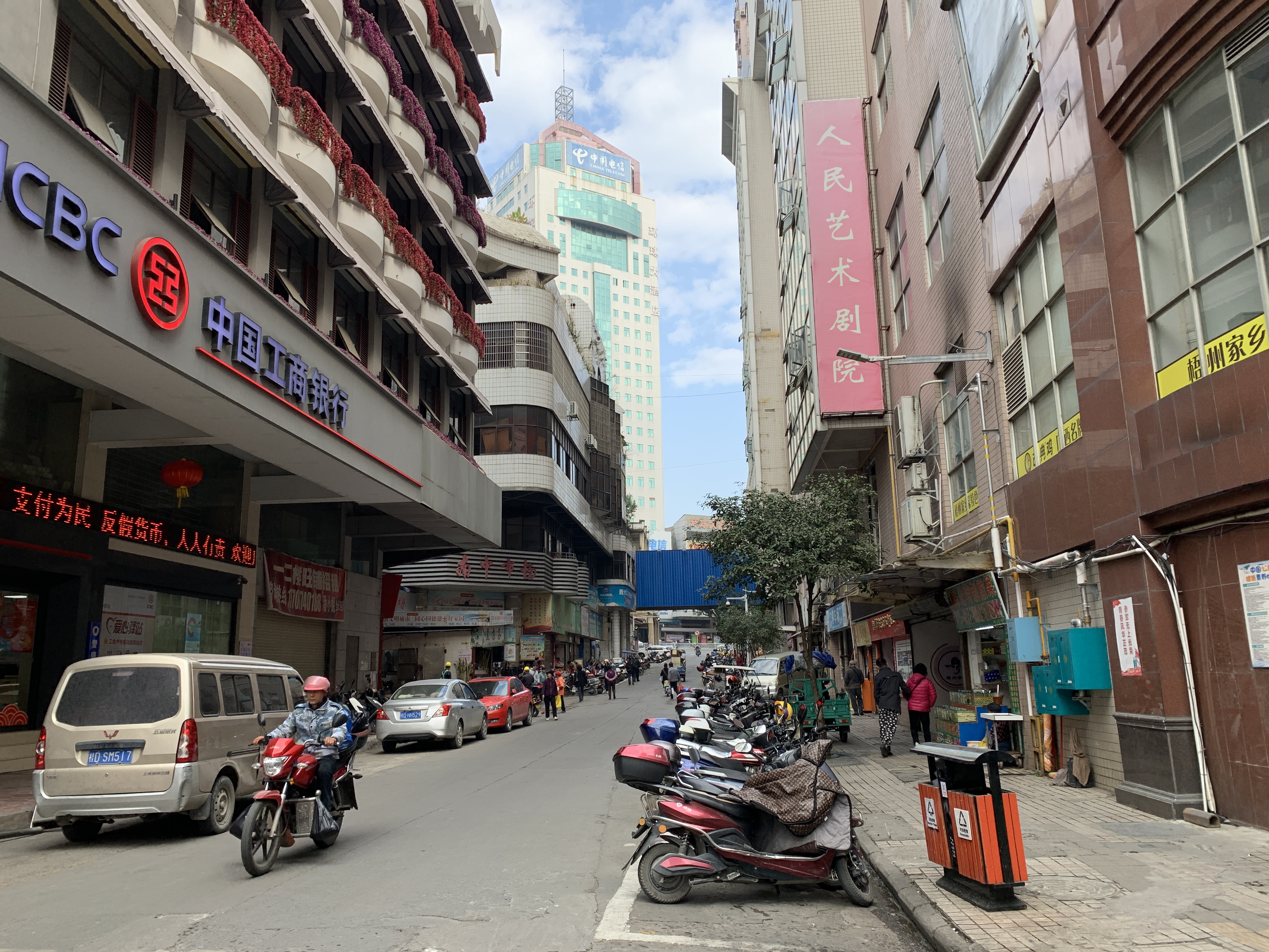 IMG_2324.jpeg