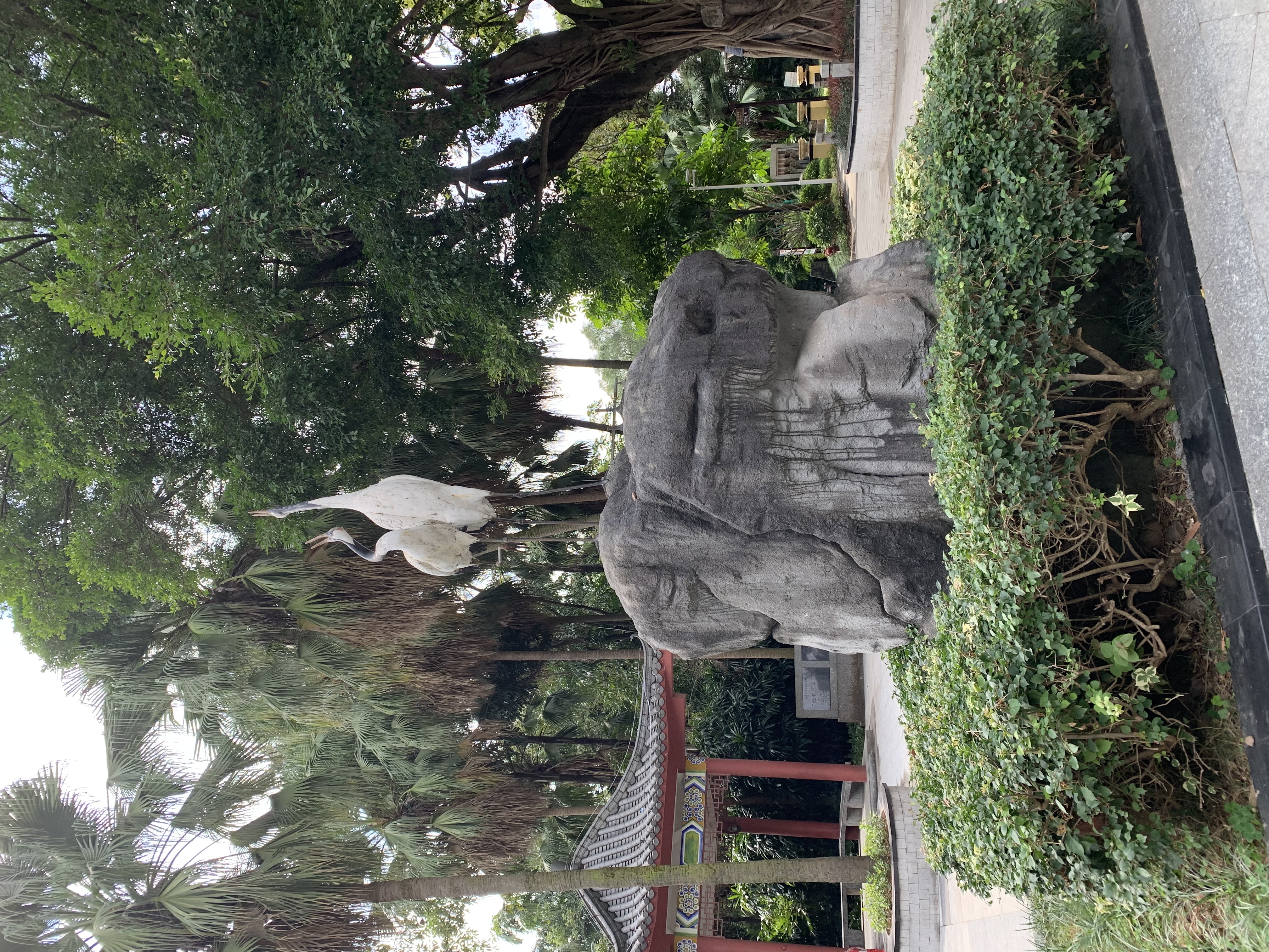 IMG_0605.jpeg