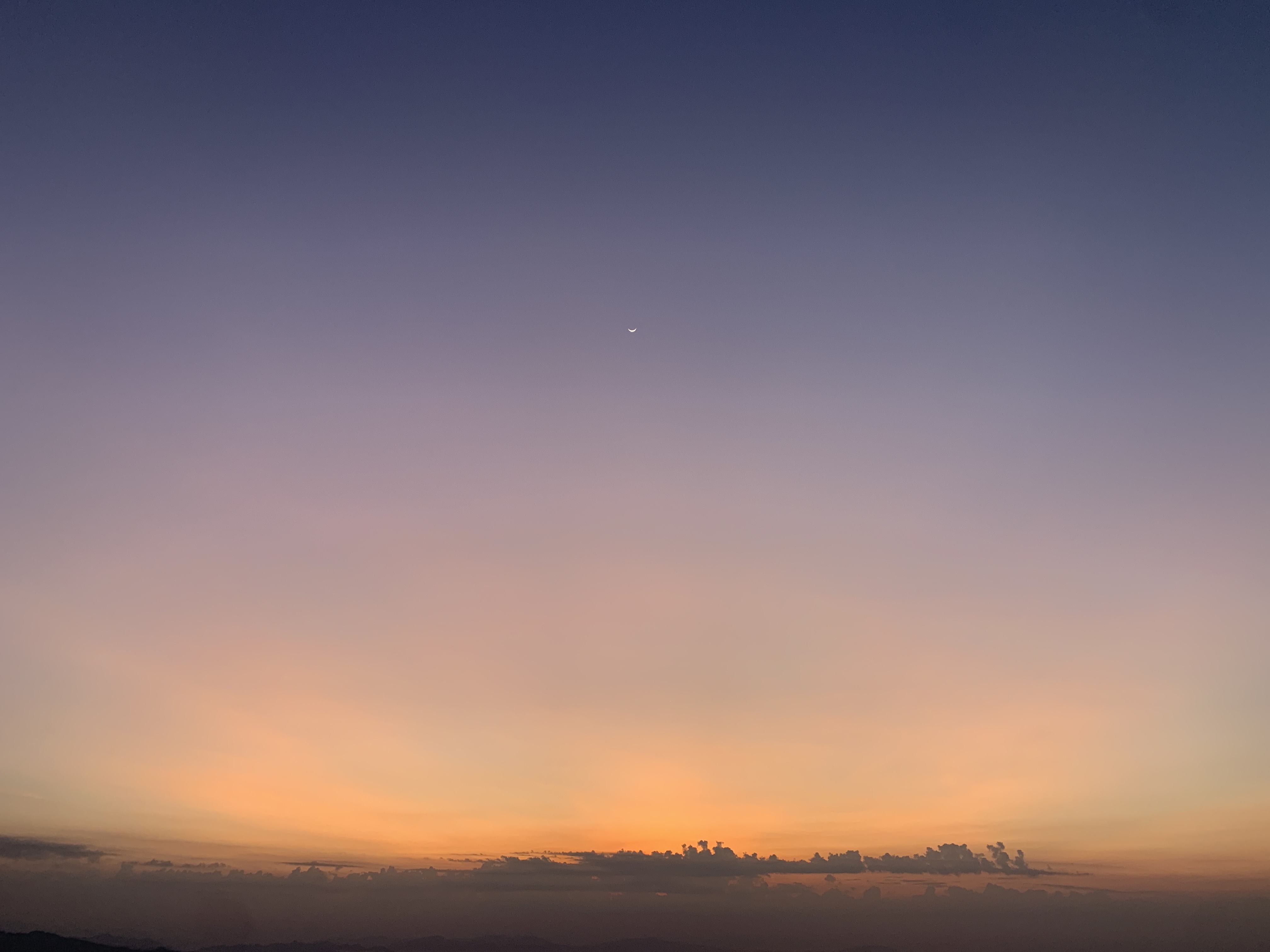 AD6A8435-37B1-41AF-96DA-36EB826A423F.jpeg